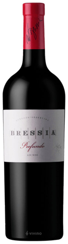 6 VINHOS Bressia Profundo Malbec