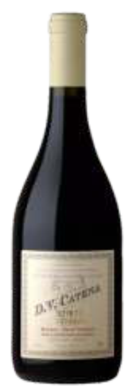 6 VINHOS DV CATENA HISTORICO POR: