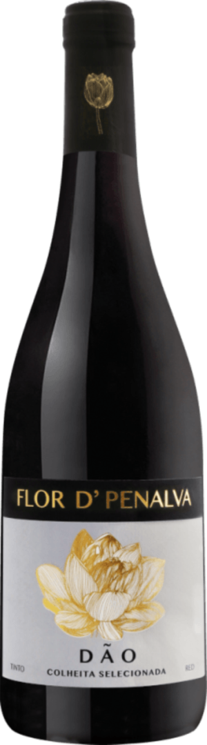 Flor de Penalva