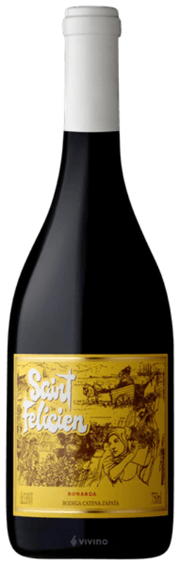 6 VINHOS Saint Felicien Bonarda POR: