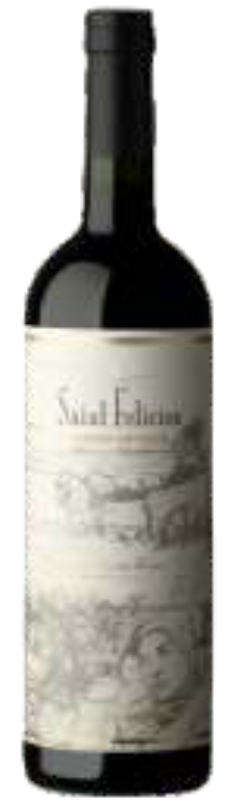 6 VINHOS Saint Felicien Cabernet Sauvignon POR: