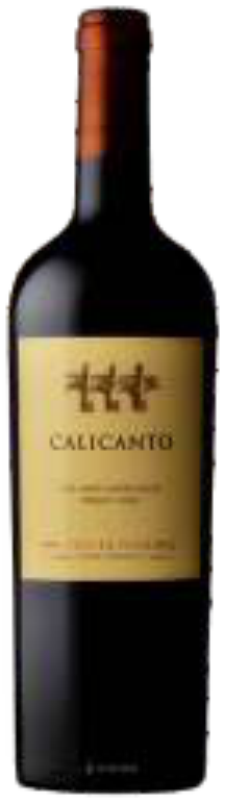 6 VINHOS EL PRINCIPAL CALECANTO BLEND POR: